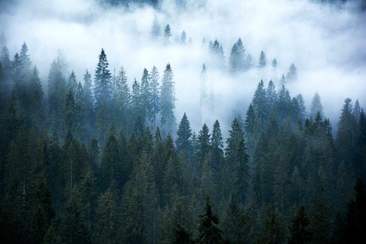 Gorski Osrodek Jezdziecki Tatranská Bukovina Exteriér fotografie