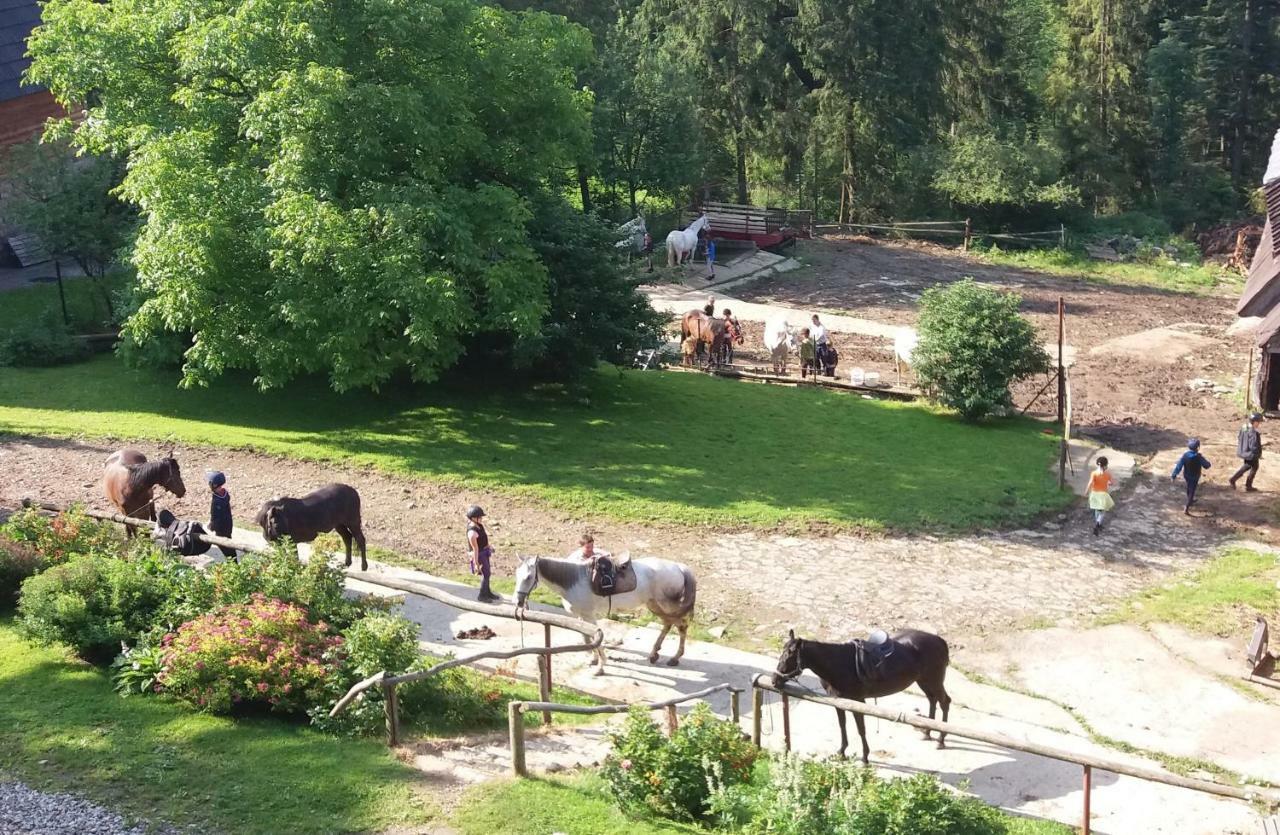 Gorski Osrodek Jezdziecki Tatranská Bukovina Exteriér fotografie
